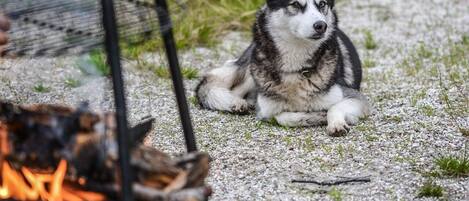 Overnattingsstedets uteområder