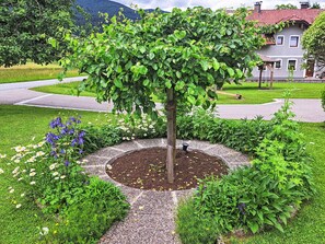 Jardin, Printemps, Suppression Des Plantes Ligneuses, Ombre, Pelouse, Cour, Aménagement Paysager, Sol, Arrière-Cour
