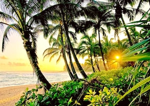 Plage