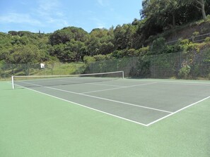 Sport court