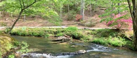 Tails Creek!