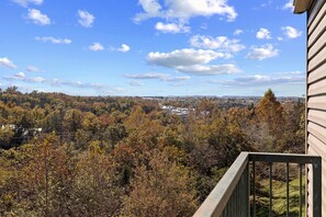 View from Balcony