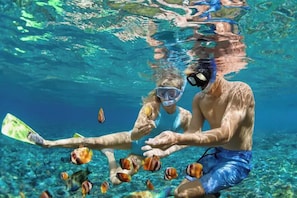 Divers