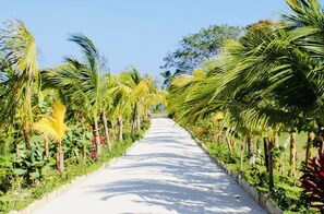 Path to community beach