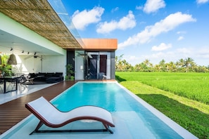 Living room, Seating area, View