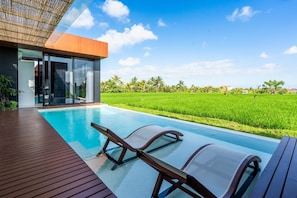 Swimming Pool, Rice fields view