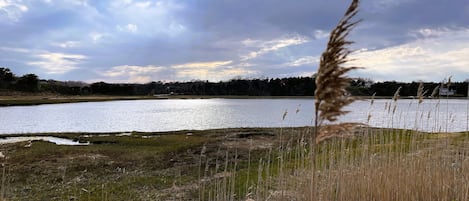 Priscillas Landing (inlet) walking distance