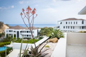Ocean View