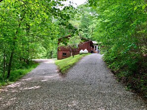 Private walking path up the hill from the house