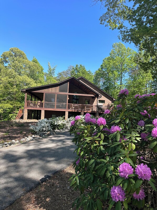 Picture of House