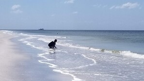 3-5 minute walk to Indian Rocks Beach!