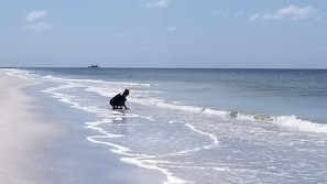 Strand