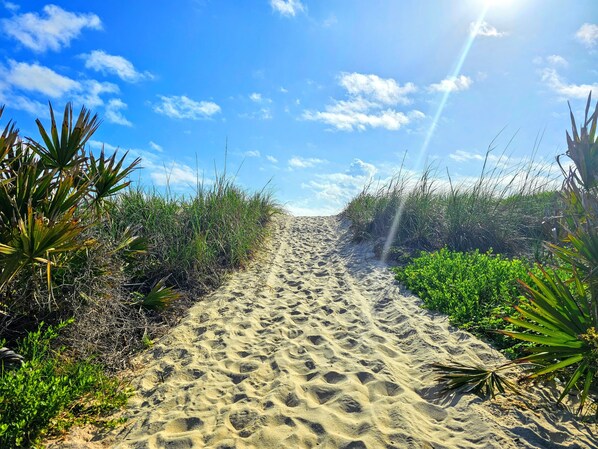 Beach Walkover