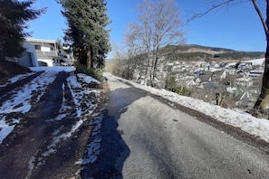 Immediate Surroundings [winter] (&lt;1 km)
