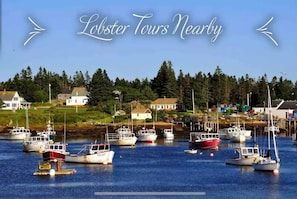 Popular Lobster Tour 5 Minutes Away!