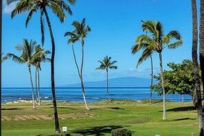 Ocean View from your private lanai looking West