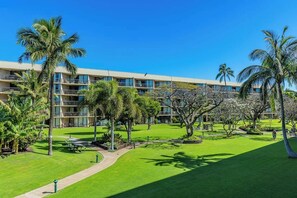View from lanai looking North