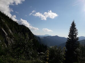 Balade en forêt