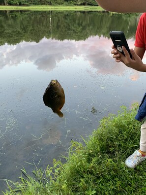 Private lake is loaded with fish.  Tons of blue gill, small and large mouth bass