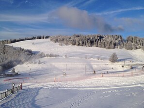 Wintersport/Ski