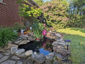 Beautiful small pond at front of house for guests enjoyment. 