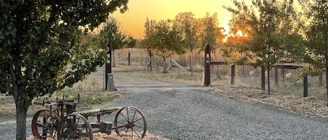 Parco della struttura