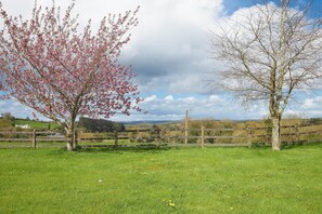 Boendeområde