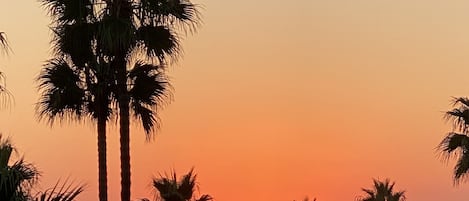 Vue sur la plage/l’océan