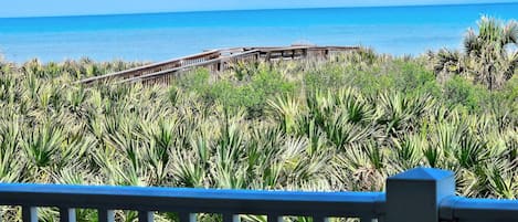 View from Spacious Balcony