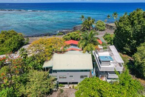 Perfectly perched to catch that Kona breeze. 