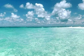 Anna Maria Island - crystal green/blue waters and white sandy beaches!