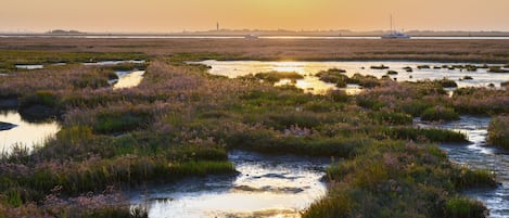 Terrain de l’hébergement 