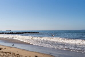 The water's edge on an uncrowded beach