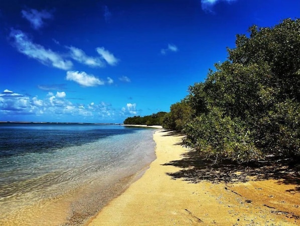 Strand
