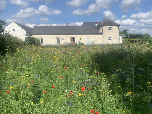 Wildflower Cottage