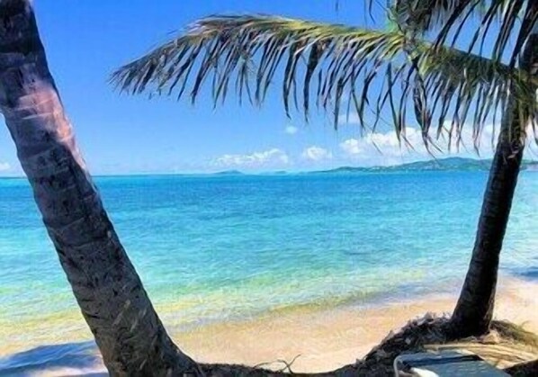 The Beach of Colony Cove Condominiums, steps from your vacation rental!