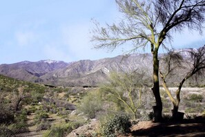 Un-obstructed views of desert and mountain