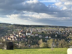 Altensteig vom Aussichtspunkt aus fotografiert 