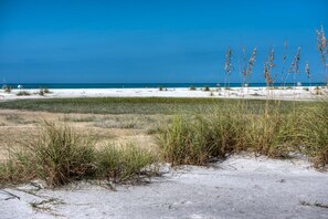 Gulf Views from Shells and Sunshine