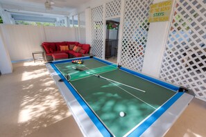 Pool/Ping Pong Table