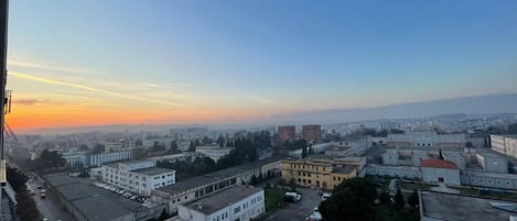 Vista desde la propiedad