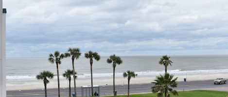 How's that for a gulf view?  Grab a chair and join us!