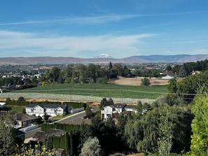 Sweet View of Mt. Adams and west valley.