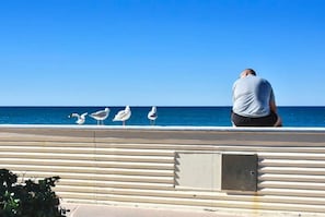 Come sit with the sea gulls and take in the views of Kings Beach