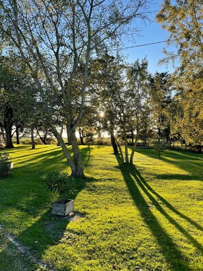 Boendeområde