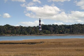 Watch Herons and Egrets fish for their morning meal, with Chincoteague Light in the background.