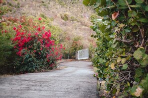 Gated Entryway