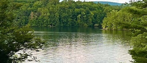 Gorgeous, quiet Burden Lake.  We have a pontoon boat that you can reserve, a raft to swim out to, 2 kayaks, 2 stand up paddle boards, and a clean lake to swim in! 