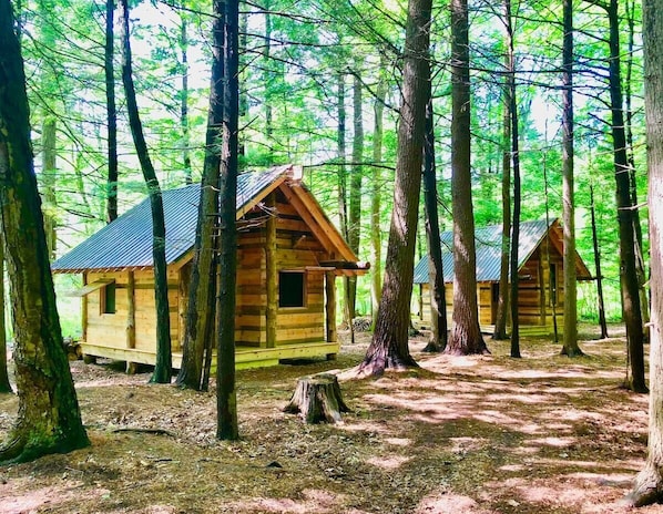 2/3 cabins at Timbertown