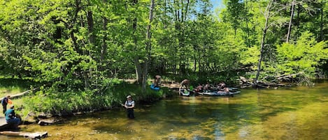 Little Manistee River - across from River Bear Retreat